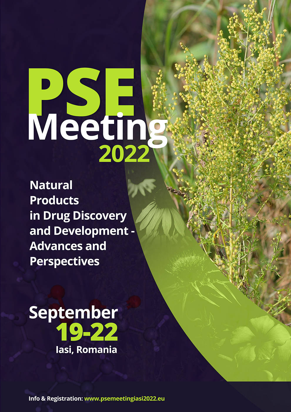 PSE Meeting 2022
